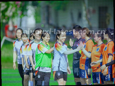 盾牌与锁结合的图标，象征数据加密与隐私保护